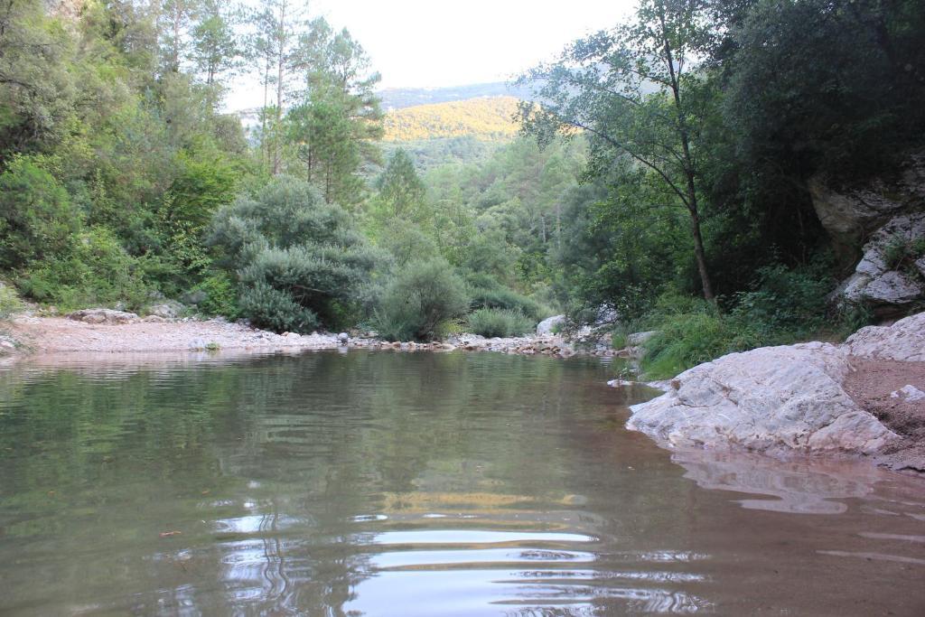 Can Carreras Sant Llorenc de la Muga Екстериор снимка